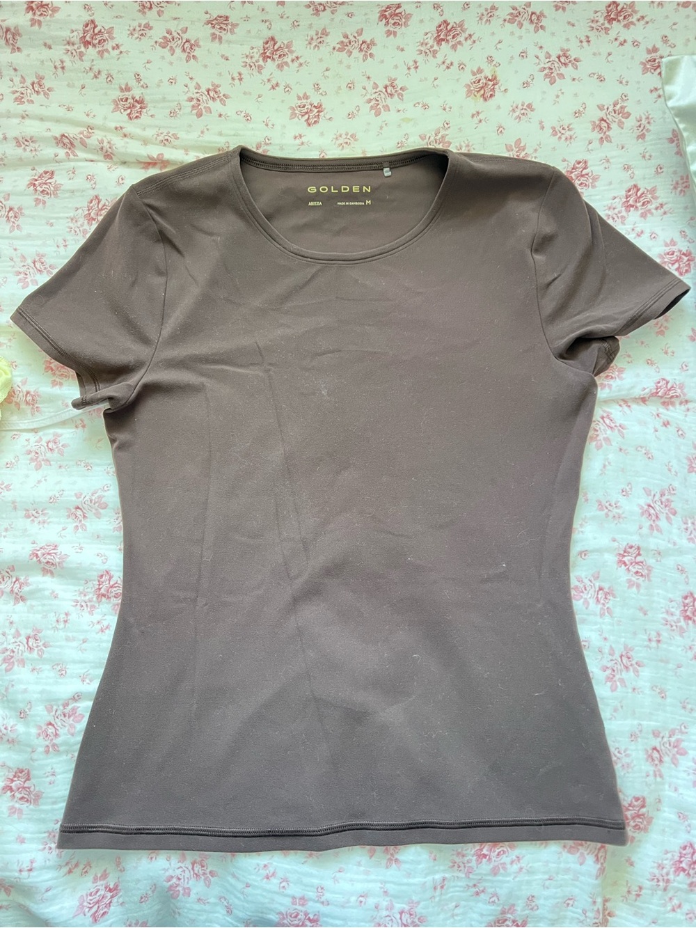 Aritzia Golden Crewneck Short Sleeve Top — Chocolate Brown